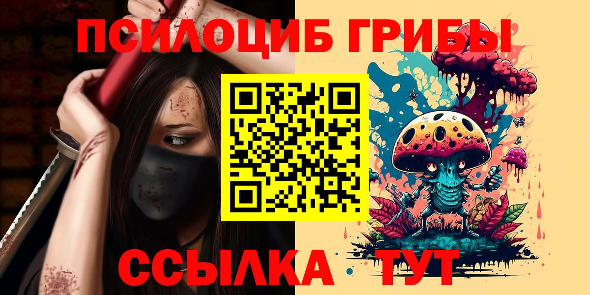 купить наркоту  Псилоцибиновые грибы мухоморы  Вход с VPN  Троицк 