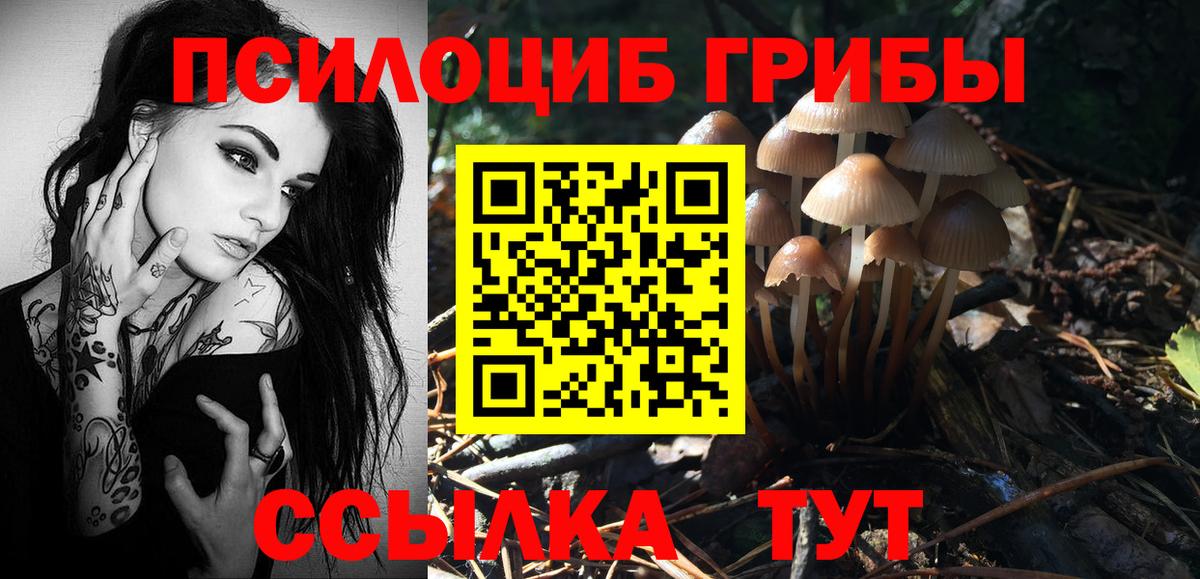 Галлюциногенные грибы MAGIC MUSHROOMS Троицк